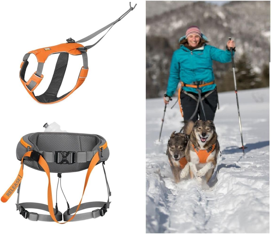 Ruffwear, Omnijore Dog Joring System, Dog Harness, Hip Belt, and Towline for Skiing, Skateboarding, and Biking, Orange Poppy, Small