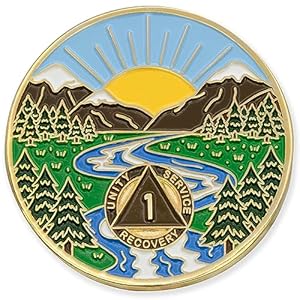 1 Year Sobriety Mint Winding River Gold Plated AA Recovery Medallion/Chip/Token