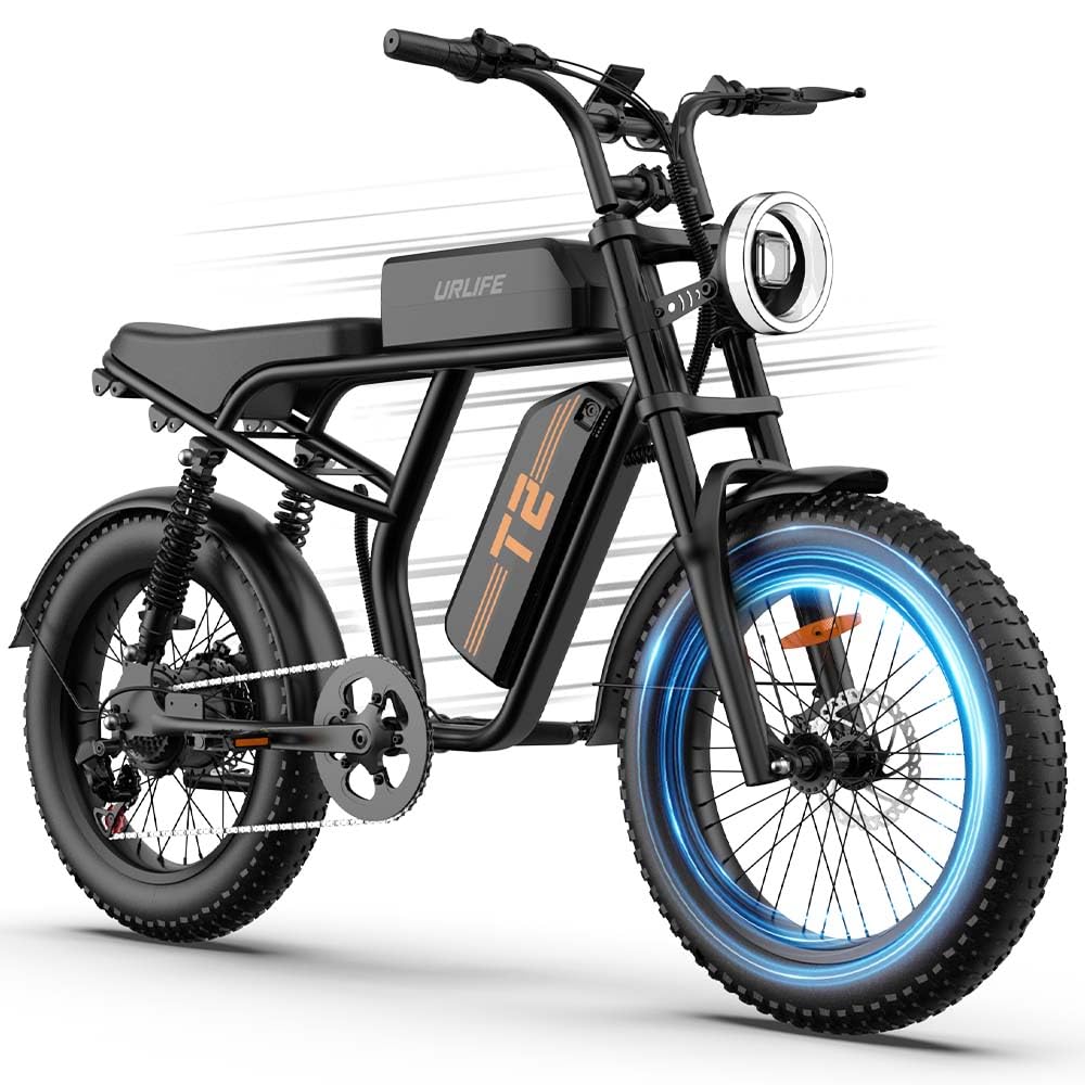 URLIFE 20" x4 Elektrofahrrad für Erwachsene, E-Mountainbike mit 48V 15,6Ah abnehmbarem Akku, Reichweite bis zu 120km, LCD Display, 7-Gang, All-Terrain Fat Tire E-Bike mit Federung (Grau)