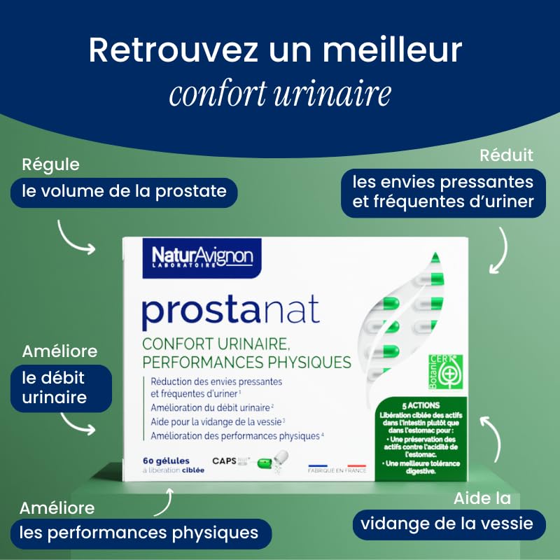 NaturAvignon Prostanat | Complement alimentaire Prostate Confort urinaire homme, Performance physique | Saw Palmetto (palmier nain) graine de courge (huile de pepin de courge) Ginseng Zinc | 60gélules – Image 3