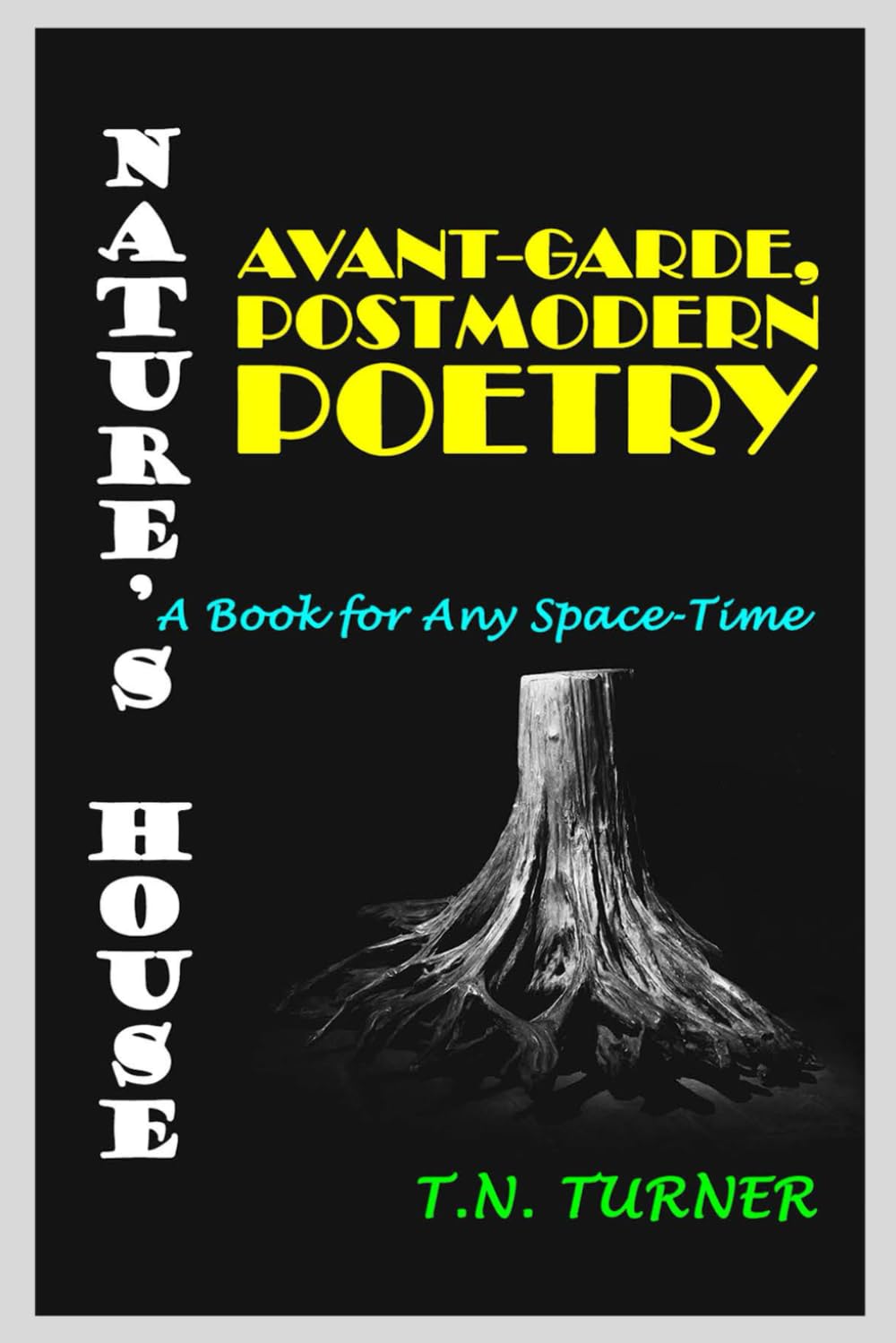 NATURE'S HOUSE: ALLEGORICAL, AVANT-GARDE, POSTMODERN POETRY--A BOOK FOR ANY SPACE-TIME (THE CONCISE POETRY WORKS of T.N. TURNER)