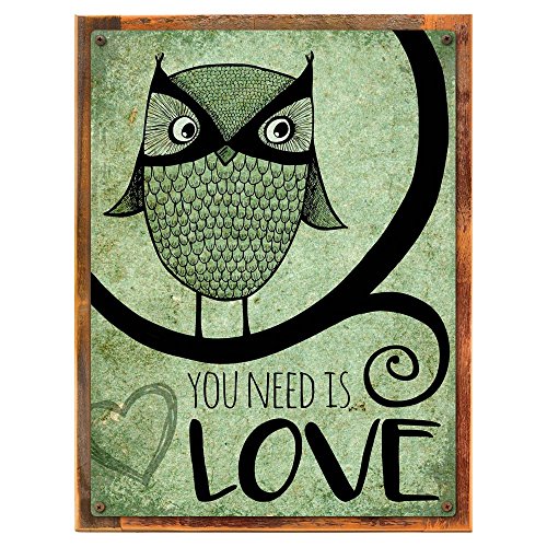 Homebody Accents Wood-Framed Green OWL You Need is Love Metal