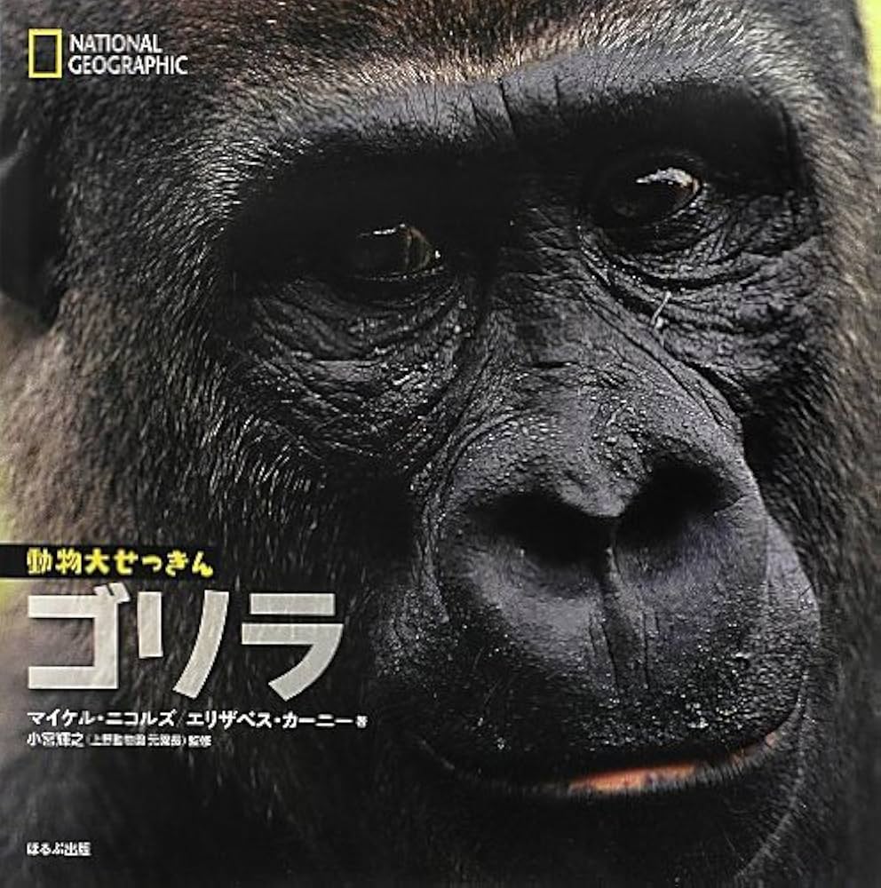 Amazon.co.jp: ゴリラ (ナショナルジオグラフィック 動物大せっきん Amazon.co.jp: ゴリラ (ナショナルジオグラフィック 動物大せっきん