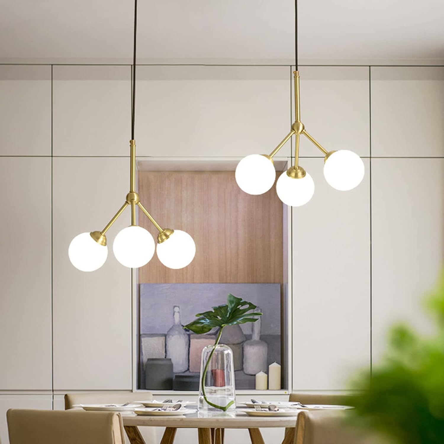 サルフレア 苗 大型140cm❗綺麗な葉色 クリームイエロー クリスマス