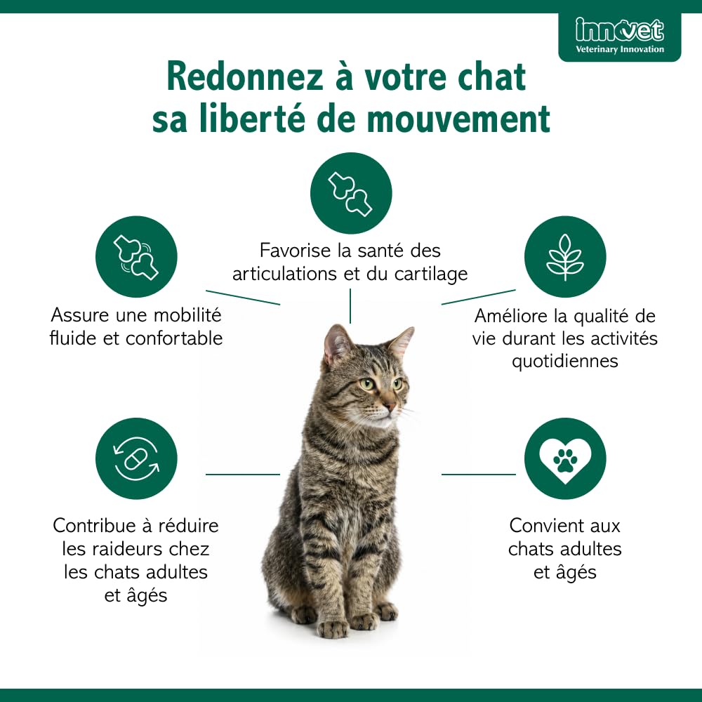 Innovet Condrostress (+) Cat - Complément Alimentaire Articulaire pour Chats Adultes et Âgés, Confort Articulaire, Mobilité, Collagène, Chondroïtine, Acide Hyaluronique, Facile à Donner - 30 gélules