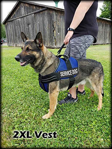 Activedogs.com Service Dog Kit - Xl Blue Mesh Service Dog Vest Harness + Registered Service Dog Id + Clip-On Bridge Handle + Ada/Federal Law Cards + Travel Tag #TOP1