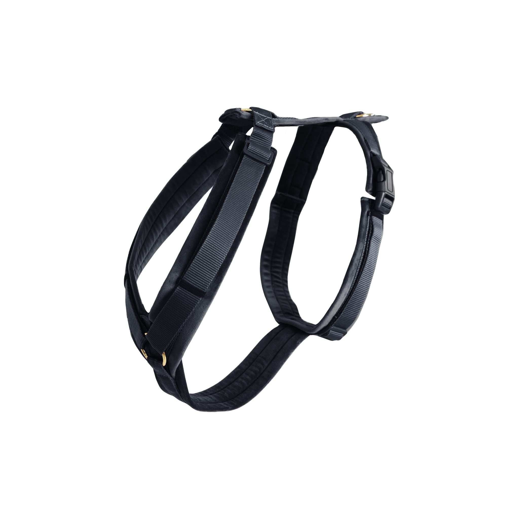 Arnes para Perros Aktiv Velvet, Talla: XS, Color: Negro