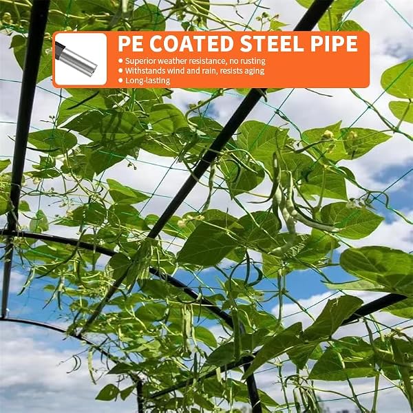 Tall Garden Arch Trellis for Climbing Plants Outdoor,7 ft Arbor Large Arch Tunnel Trellis, Metal Cucumber Trellis, Plant Support Archway Garden Trellis for Vegetables Yard (71.2''L*47.2W*83.1''H) by Generic - Used condition - Image 6