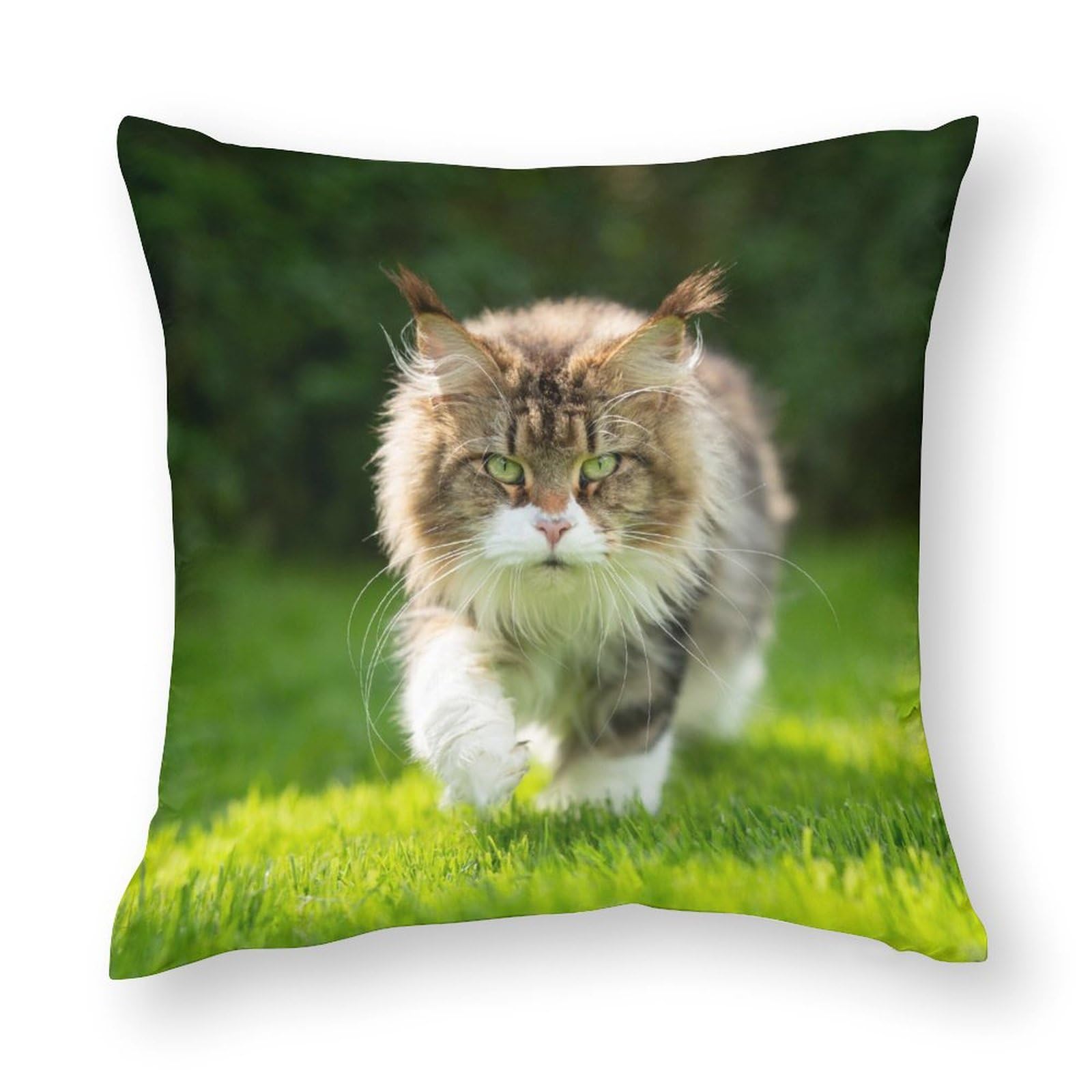 32x32inches (80x80cm) Pillow Covers, Fluffy Tabby White Maine Coon Cat Outdoors, Chair Cushions, Sofa Cushions, Seat Pillow Cases Cushions, Bed Pillowcase Cushions