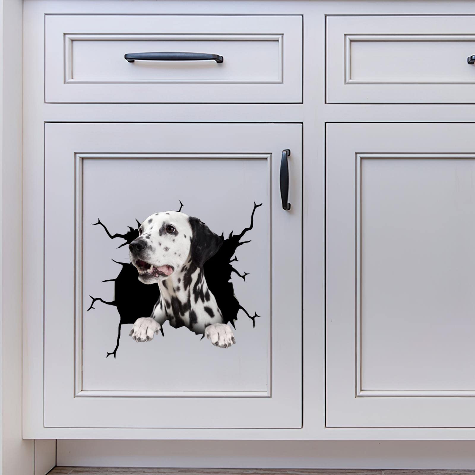 Autocollant Voiture Dalmatien - Noir - Mein-motiv.com - Décoration Auto Réutilisable