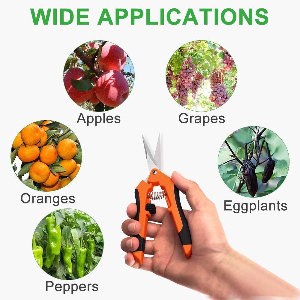 GROWNEER 9 Packs Pruning Shears Gardening Hand Pruning Snips with Straight Stainless Steel Precision Blades