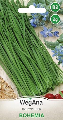 WegAna Cebollino Bohemia Semillas 2g (Alrededor de 800 semillas) Semillas de Hortalizas Robustas, Semillas de Hortalizas, Semillas de Invernadero