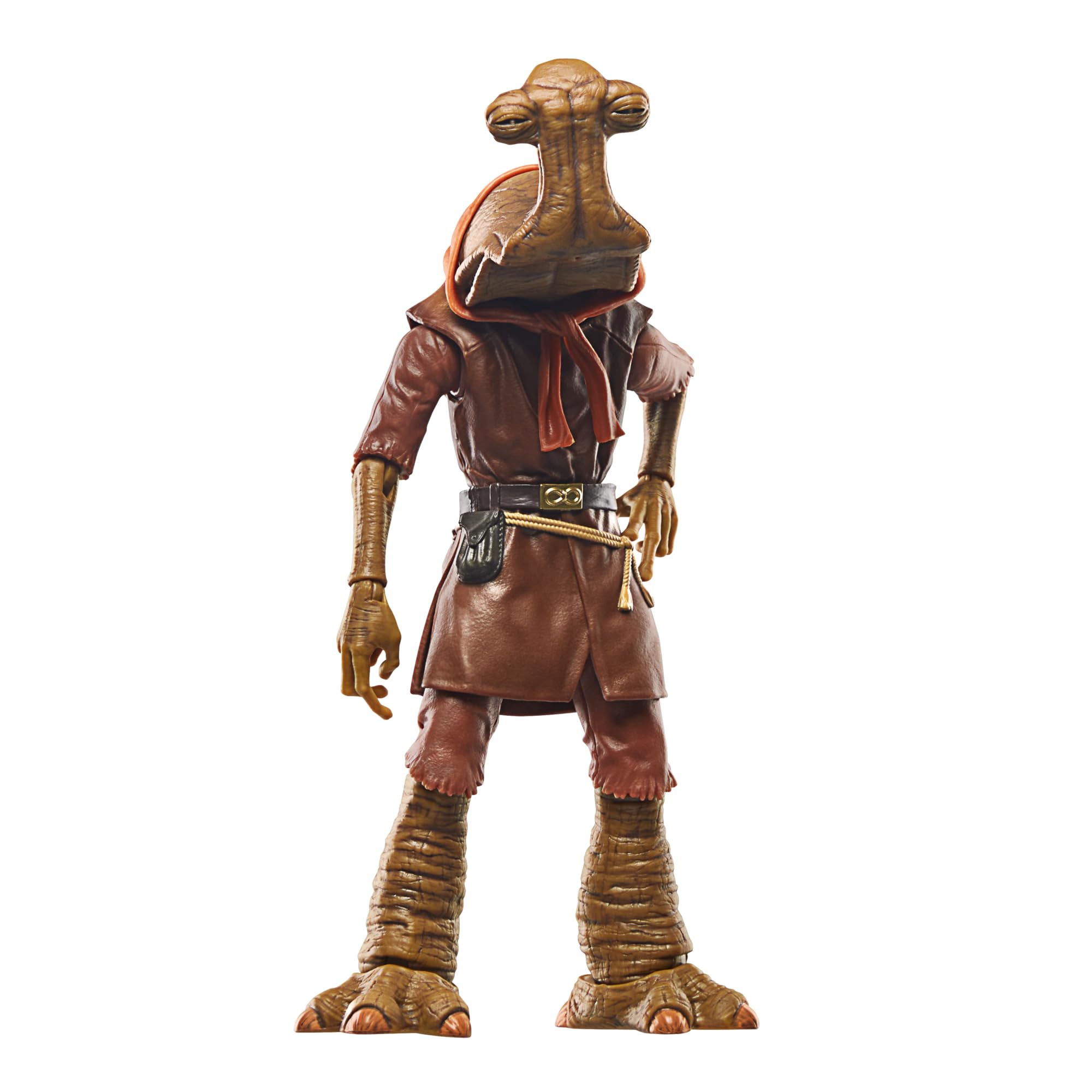 Star Wars Hasbro The Black Series Momaw Nadon Deluxe Collectible Figure, 6-Inch, Schwarz - Image 4