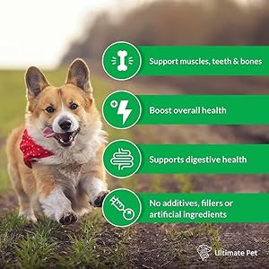 Ultimate Pet Nutrition Canine Boost, 33-in-1 Natural Grain Free Dog Food Booster Topper with Vitamins, Amino Acids, Probiotics, and Digestive Enzymes for Dog Health Ultimate Pet Nutrition Canine Boost, 33-in-1 Natural Grain Free Dog Food Booster Topper with Vitamins, Amino Acids, Probiotics, and Digestive Enzymes for Dog Health