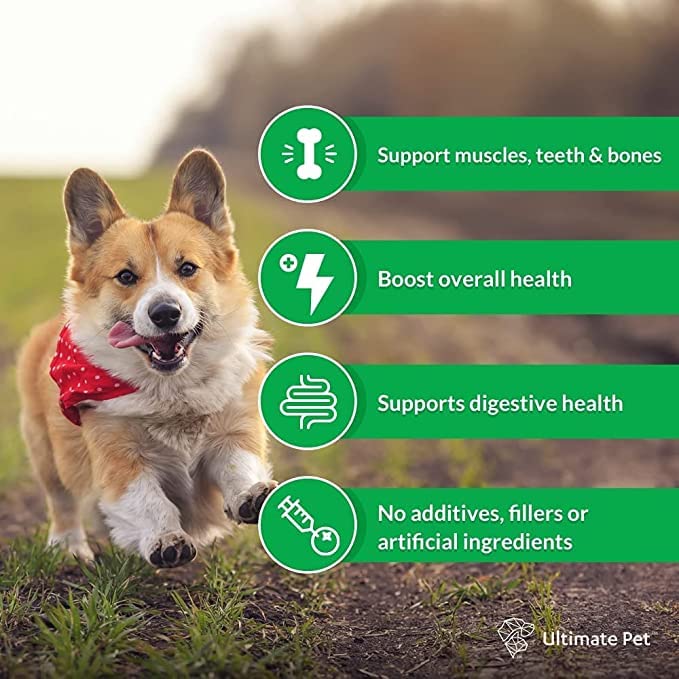 Ultimate Pet Nutrition Canine Boost, 33-in-1 Natural Grain Free Dog Food Booster Topper with Vitamins, Amino Acids, Probiotics, and Digestive Enzymes for Dog Health Ultimate Pet Nutrition Canine Boost, 33-in-1 Natural Grain Free Dog Food Booster Topper with Vitamins, Amino Acids, Probiotics, and Digestive Enzymes for Dog Health