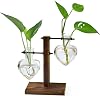 FLOWER HUABEI Plant Terrarium Wooden Stand, Air Planter Bulb Glass Vase Metal Swivel Holder Retro Tabletop Hydroponics Home Garden Office Decoration - 2 Bulb Vase Left Right