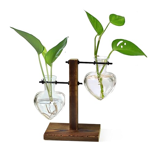 XXXFLOWER Plant Terrarium Wooden Stand, Hydroponic Planter Bulb Glass Metal