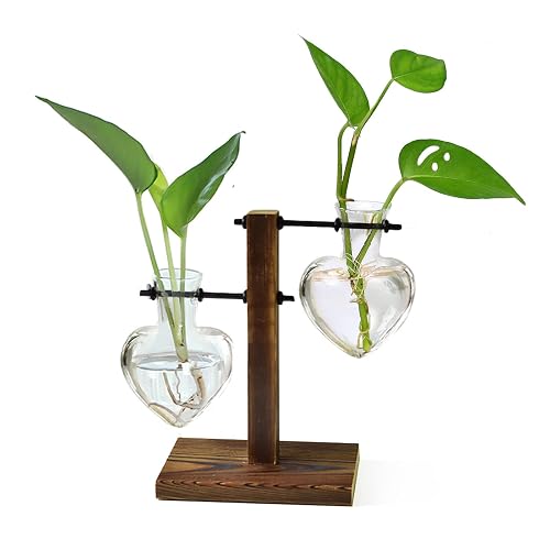 XXXFLOWER Plant Terrarium Wooden Stand, Hydroponic Planter Bulb Glass Metal Swivel Holder Retro Air Plants Water Plants for Home Office Decoration,Gifts for Plant Lover Wife Mom- 2 Love Bulb Vase - Transparent