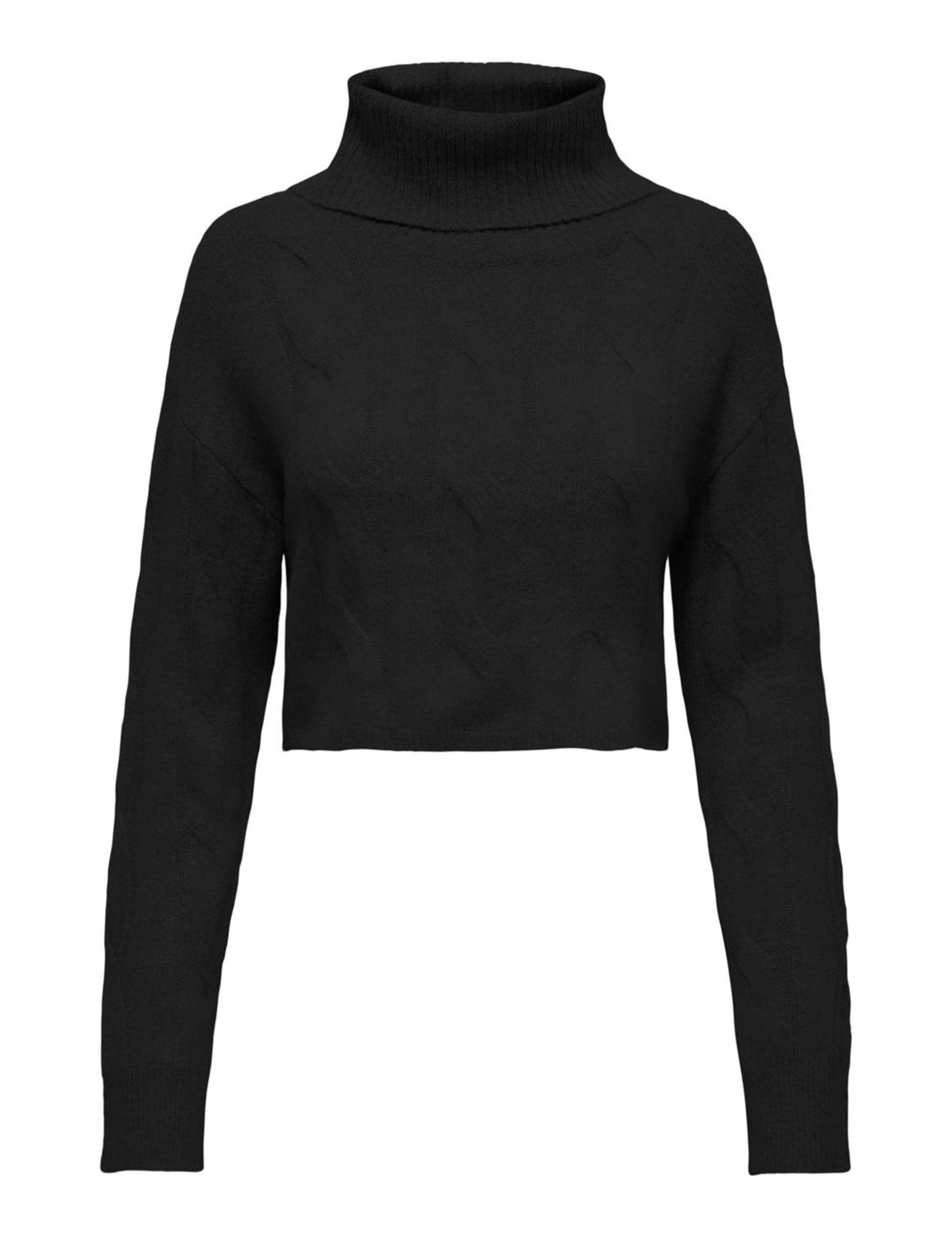 Only Women's Black Onlrio Life Ls Cable Rollneck Knt, S