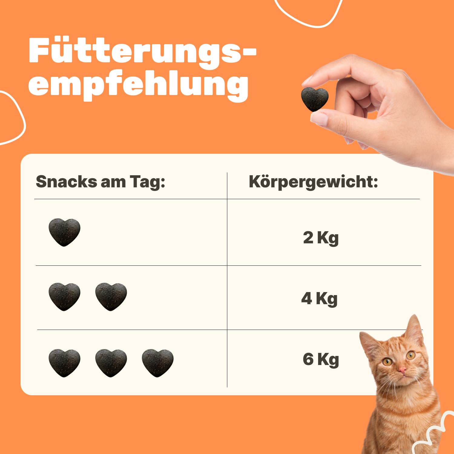 6-in-1 Nieren- & Blasen-Komplex für Katzen | Unterstützt Harnwege & Nierenfunktion | Nierendiät Katze | Mit Cranberry & Hagebutte | Renal Tonicum für Katzen | Tierärztlich entwickelt | Patsli Pee