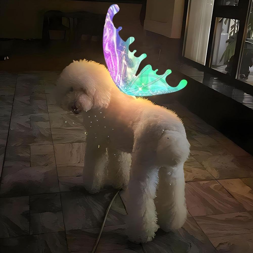 Ali di farfalla a LED per cani, ali incandescenti con luci a LED e musica, elfo con musica per bambini, ali luminose