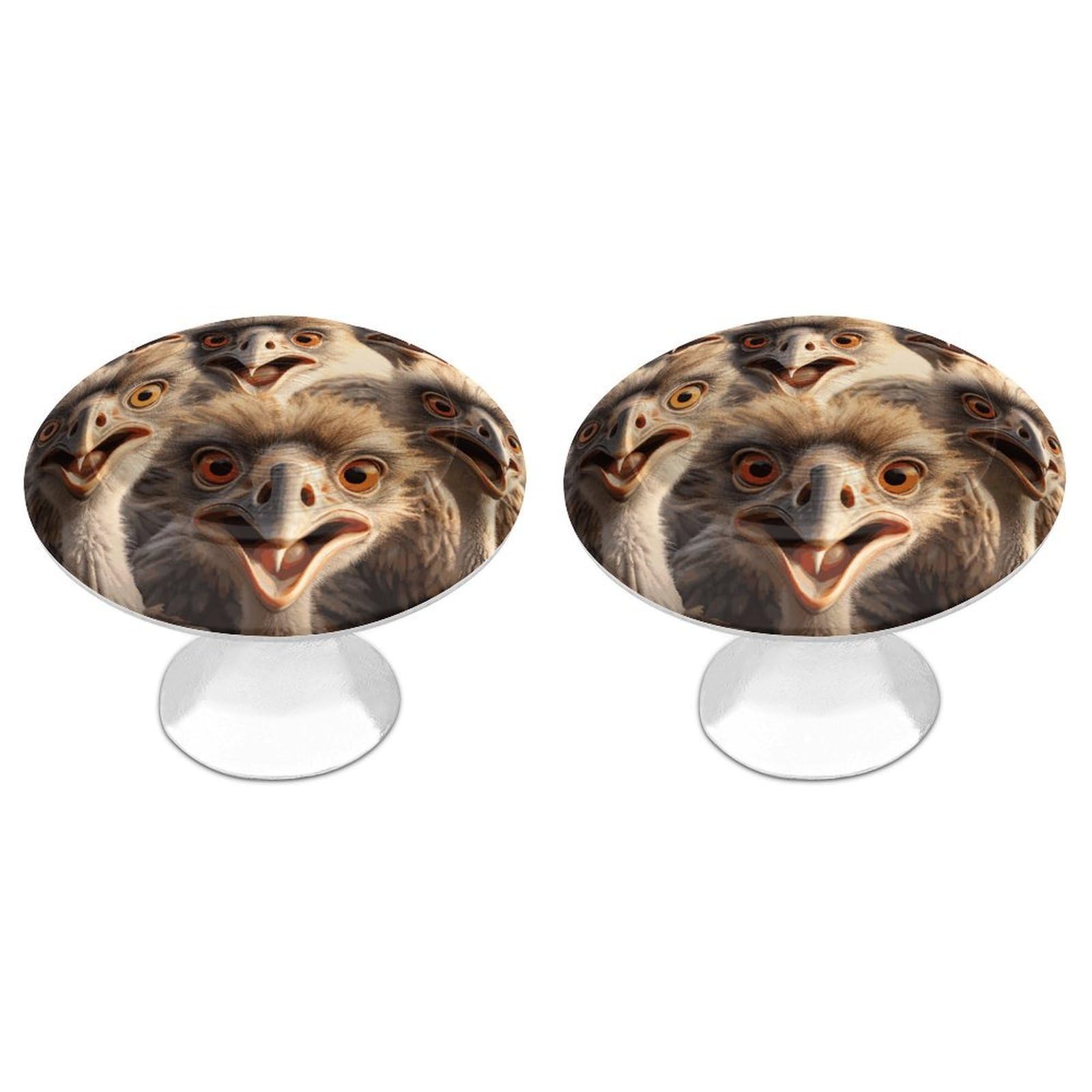 Btcowzrv Style A Flock Of Ostriches 2 Pack Cabinet Knobs Drawer Pulls