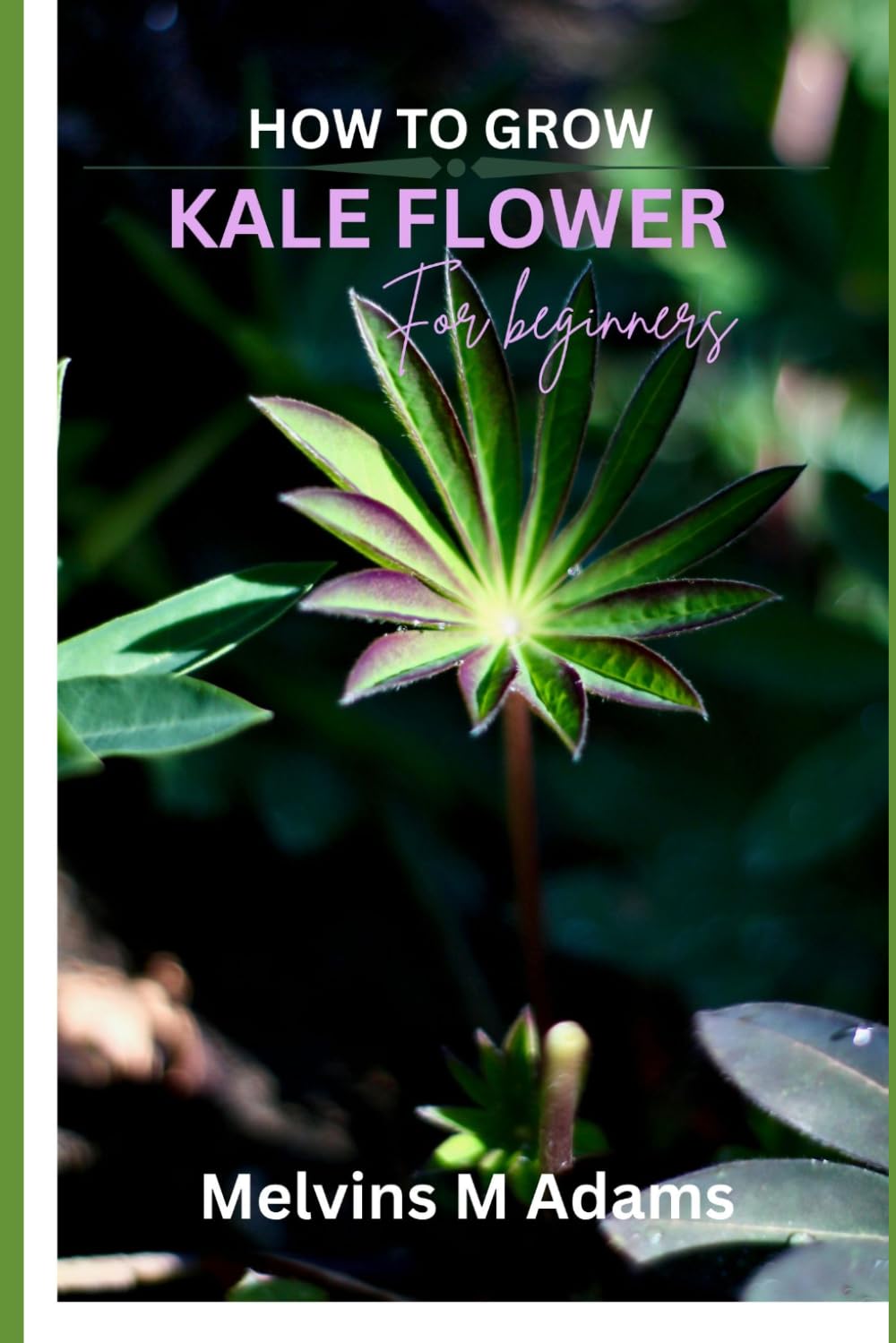 How to grow kale flowers for beginners: The Ultimate Beginner’s Guide to Growing, Caring for, and Harvesting Stunning kale at Home and garden