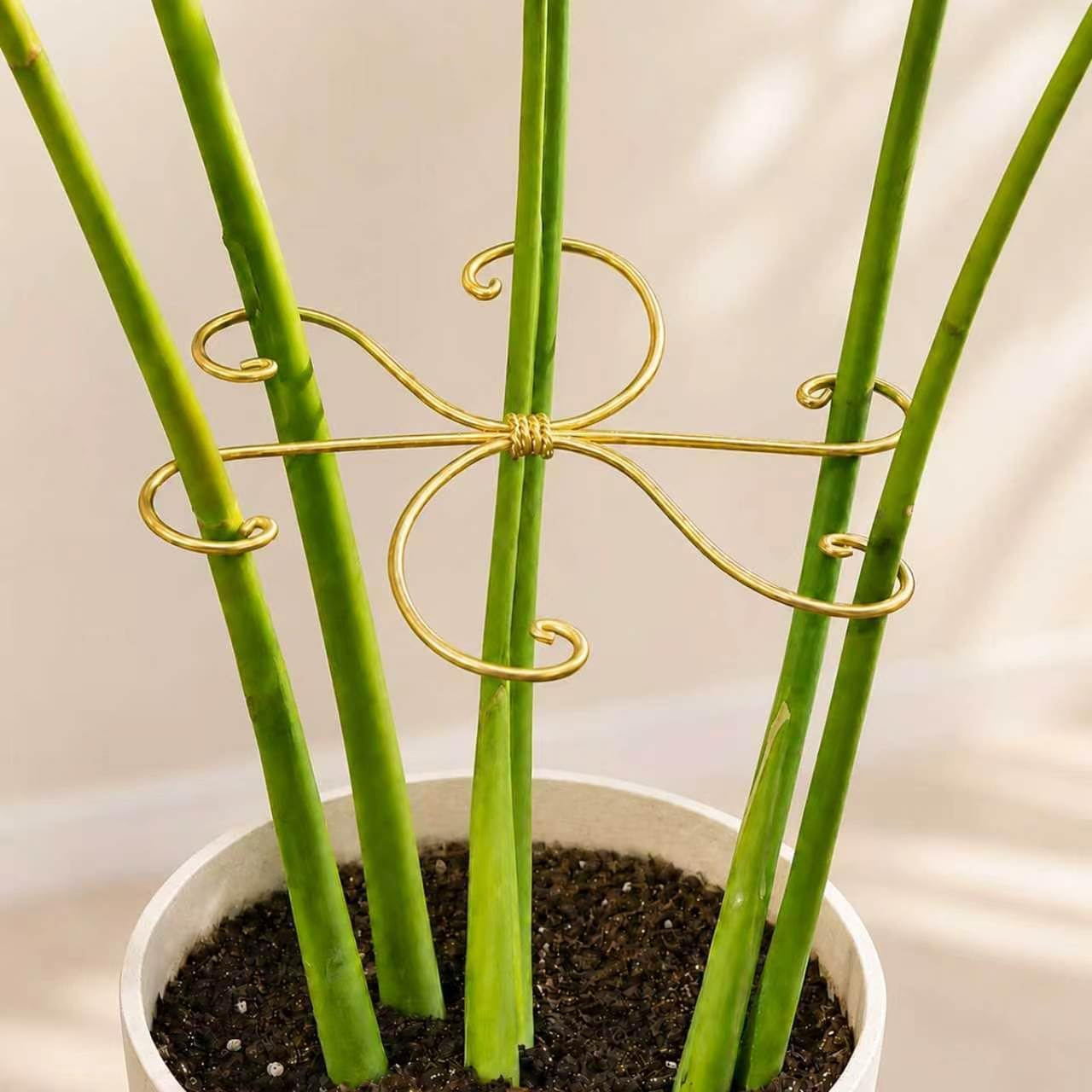 Yohsnor 5PCS 7.5in Monstera Plant Stem Support-Great for Climbing Plants