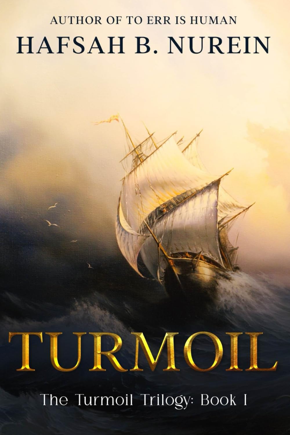 TURMOIL: The Turmoil Trilogy: Book 1
