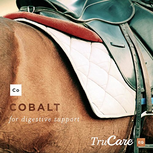 TruCare EQ Top-Dress Trace Mineral Blend for Horses (Methionine, Lysine, Zinc, Manganese, Copper, Cobalt)