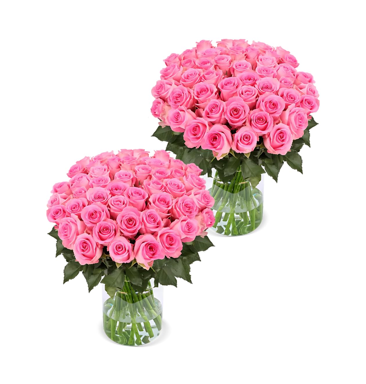 Blume Ideal Rosenstrauß - Rosen in verschiedenen Farben und Mengen - Ø 40–50 cm - Echte premium Blumen für Hochzeit & Deko - 7 Tage Frischegarantie
