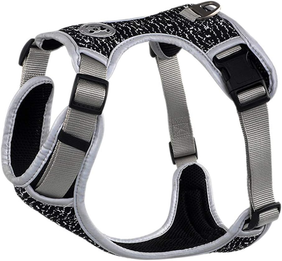 collare d'urto per cani di piccola taglia