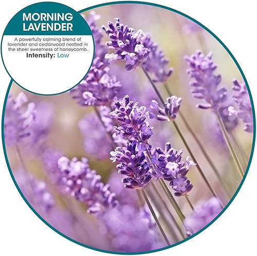 Miniatura 2 de Fresh Products myfreshe - Ambientador enchufable, sin preocupaciones, sin calor, sin vidrio, repuestos de fragancia seca, fabricado en los Estados