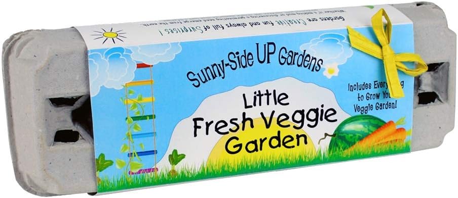 Michael Harding Artist Oil Colours, Genuine Naples Yellow Light, 40ml Tube, 60540