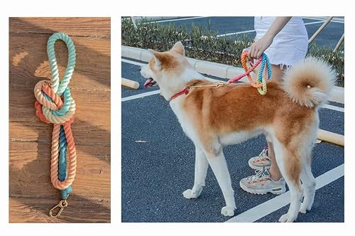 Cheery Multifunctional Gradient Hands Free Dog Leash With Adjustable Double Swivel Hook Hands 7 Ft (Gradient Brown) #TOP6