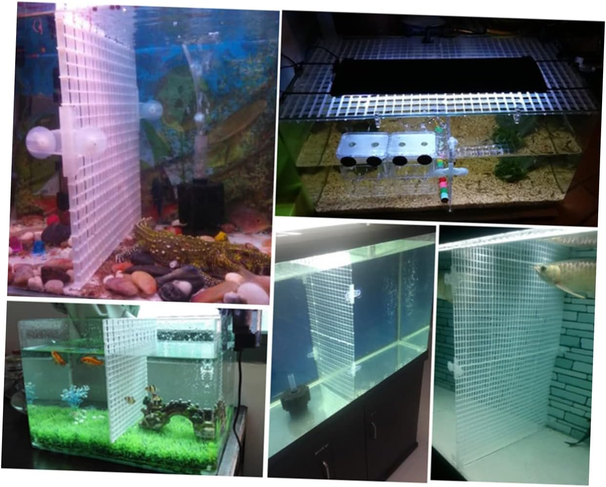BESTonZON 1 Set Lattice Plate Aquarium Isolation Panel Spliced Divider with Suction Cups for Fish Tank Separation Easy to Install and Remove Durable and Convenient for Breeding