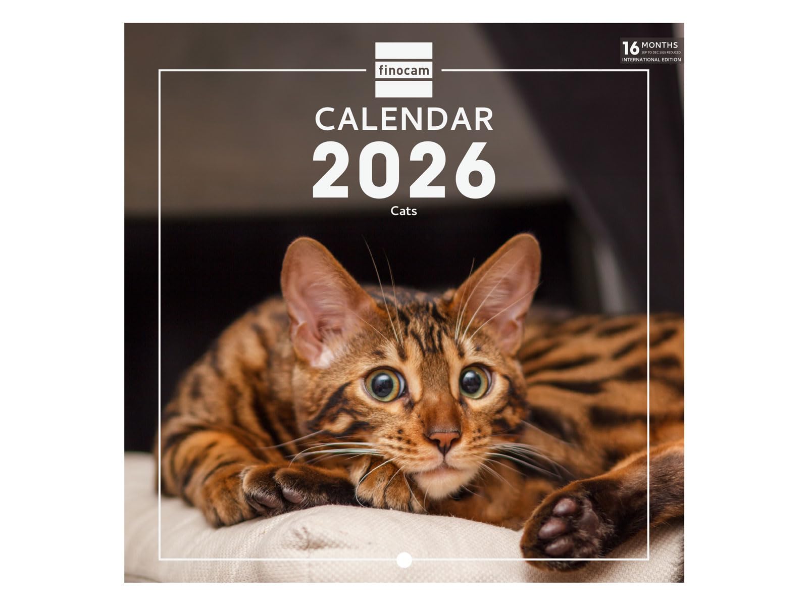 Finocam Wall Calendar 2026 18x18 Cm Month To View January, December 2026 + Sep- Dec 2025 (4 Months) Reduced, Images Nature, International