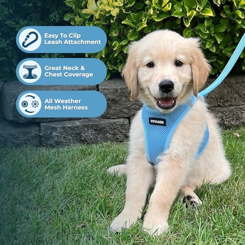 Image of Voyager Step-in Air All Weather Mesh Harness and Reflective Dog 5 ft Leash Combo Neoprene Handle, for Small, Medium and Large Breed Puppies by Best Pet Supplies - Baby Blue (Matching Trim), XS