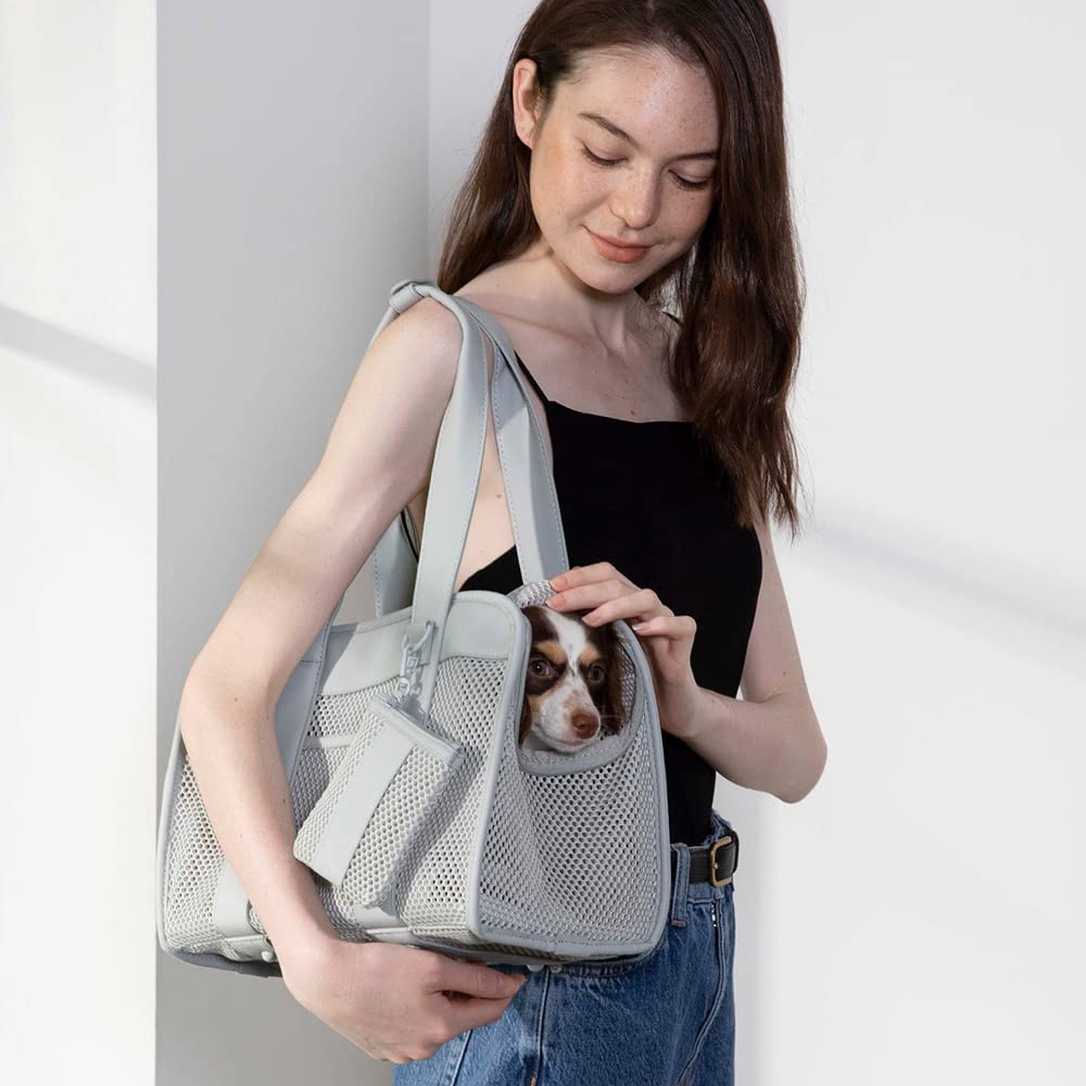 Amazon.co.jp: [citydog/シティドッグ] ライトメッシュキャリー │ 犬