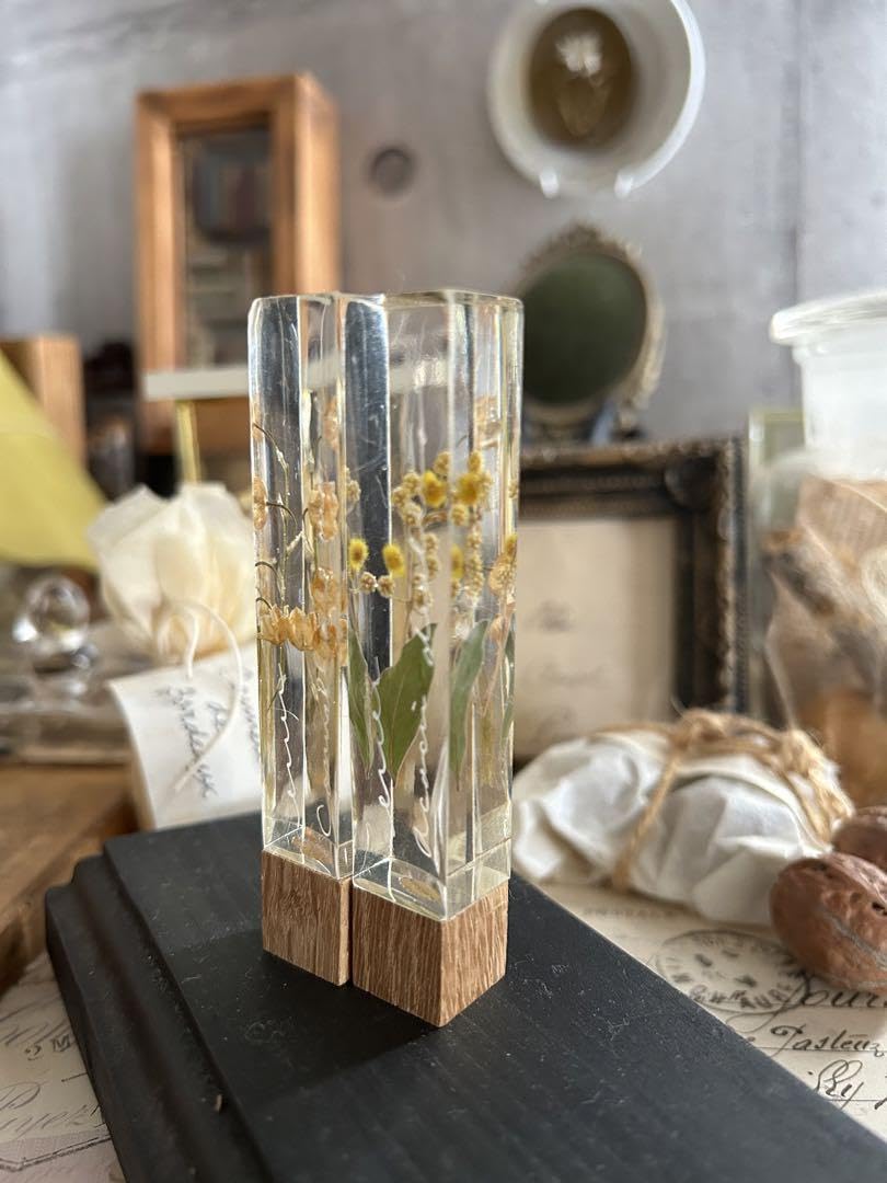 Amazon | すずらん ミモザ 樹脂標本 筆記体 errer 気泡 植物標本