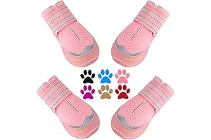 QUMY Dog Sandals for Summer Adventures