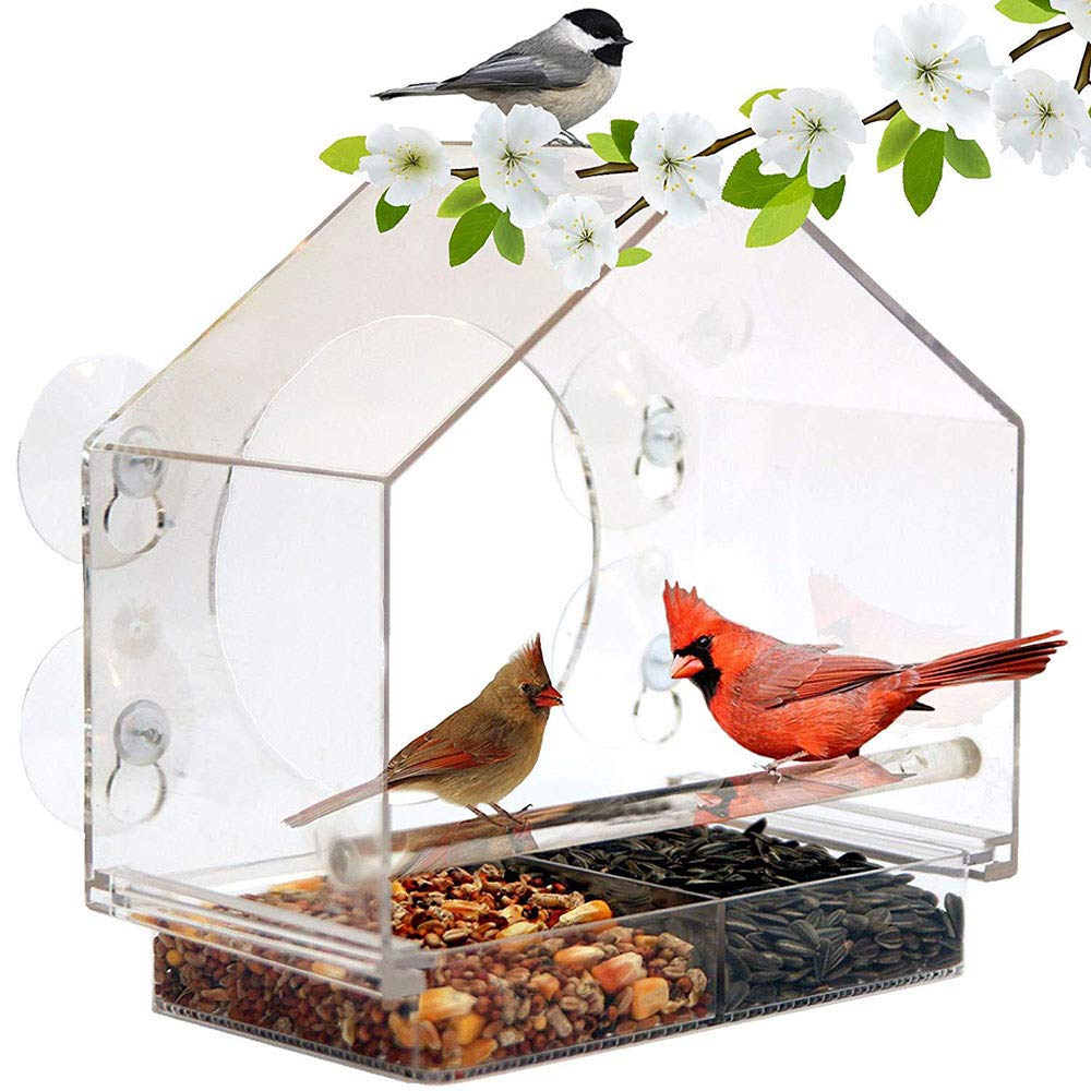 Beiyuan storeClear Window Bird Feeder, Anti-Spraying Automatic Feeding Device For Clear Birds, Suitable For Parrots 20 * 10 * 19cm