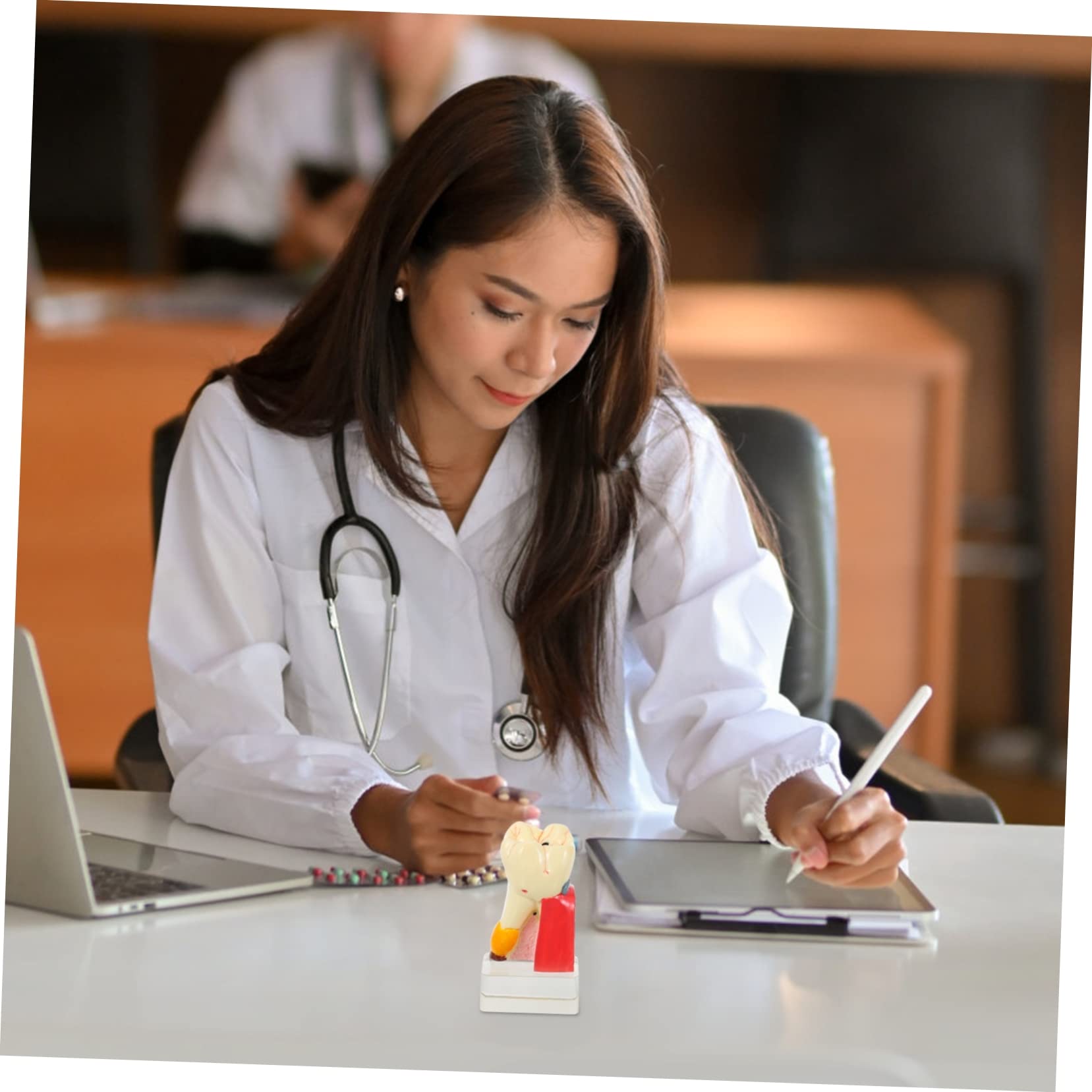 Modello Anatomico di Carie Dentale 4x in Resina Beige, Didattico | Dimostrazione e Insegnamento, Leggero e Portatile, per Odontoiatra, Uso Professionale in Studio