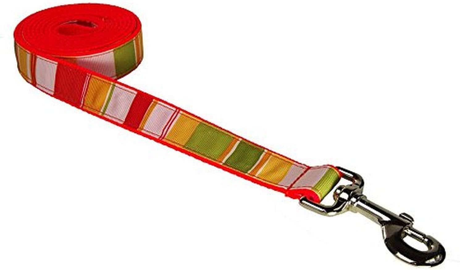 Medium Red/Multi Stripe Dog Leash: 3/4" Wide, 6ft Length - Made in USA. : Pet Leashes : Pet Supplies