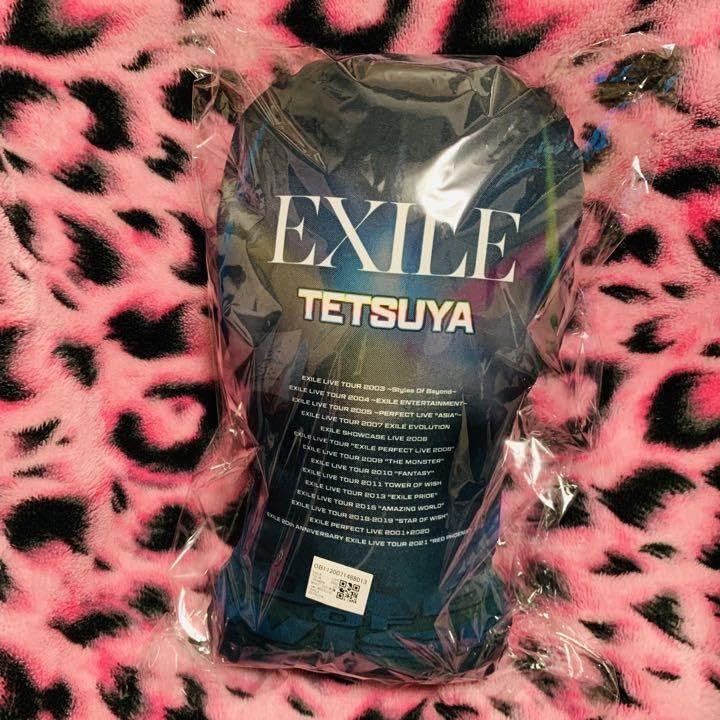 TETSUYA クッション レア WHAT IS EXILE 実写 会場限定 TETSUYA