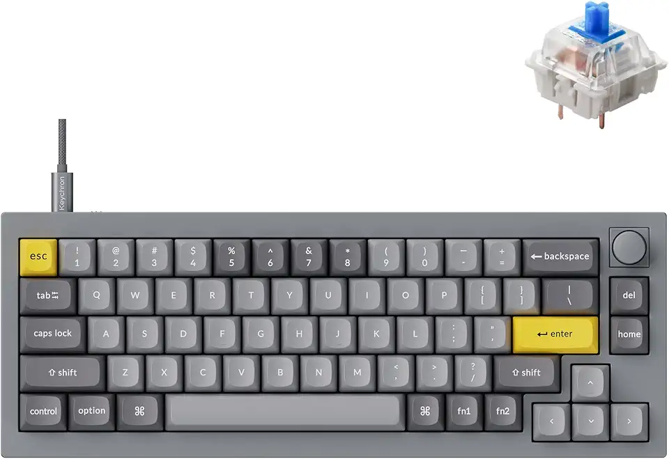 Keychron Q2 Wired Custom Mechanical Keyboard Knob Version, 65% Layout QMK/VIA Programmable Macro with Hot-swappable Gateron G Pro Blue Switch Double Gasket Compatible with Mac Windows Linux (Grey)