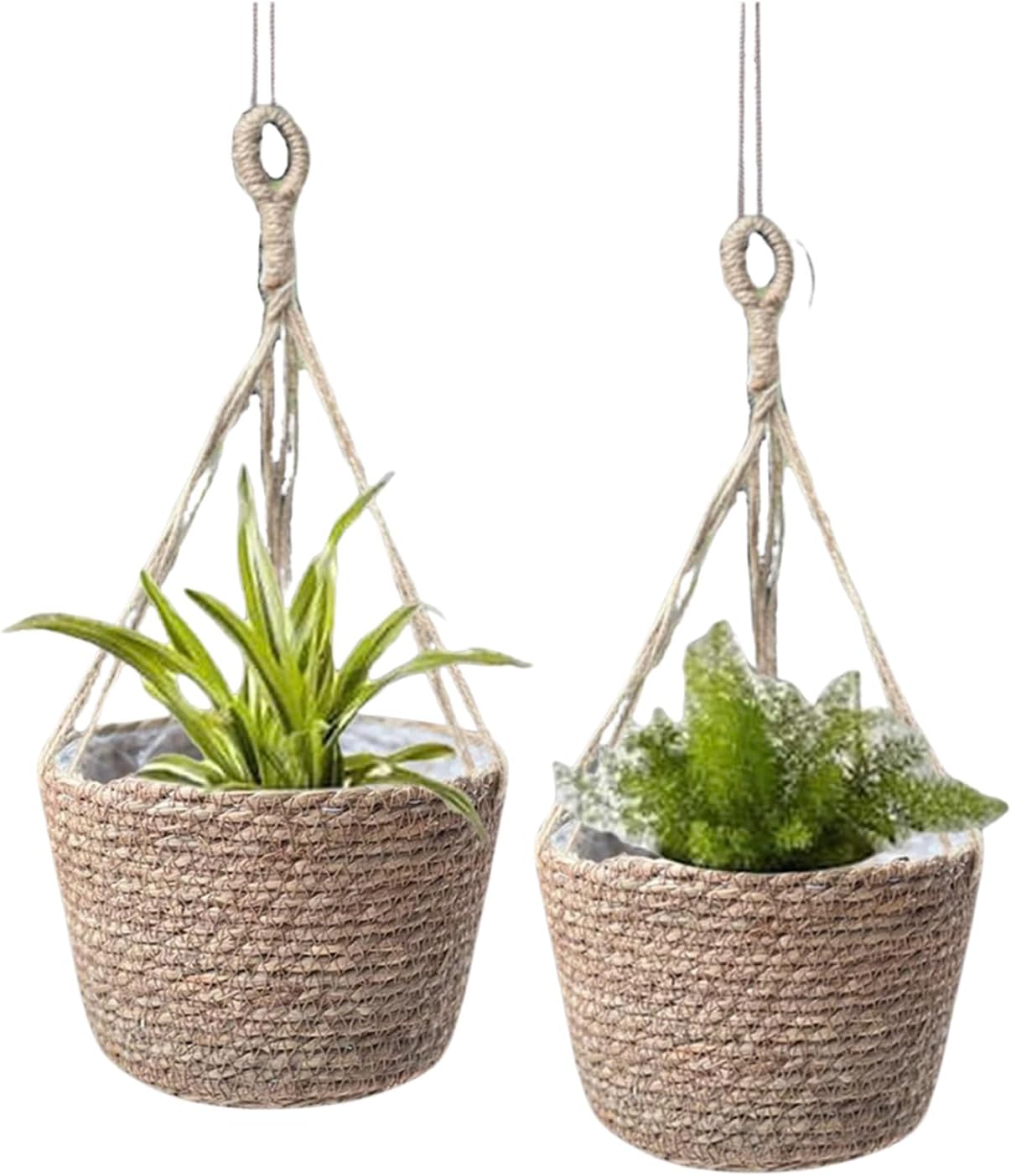 Laquedecraft Woven Seagrass Plant Basket Without Handles | Decorative Planter for Small-Space Living or Natural Home Styling | Perfect for Living Room, Balcony, Patio, Kitchen or Gadren (Set of 3)