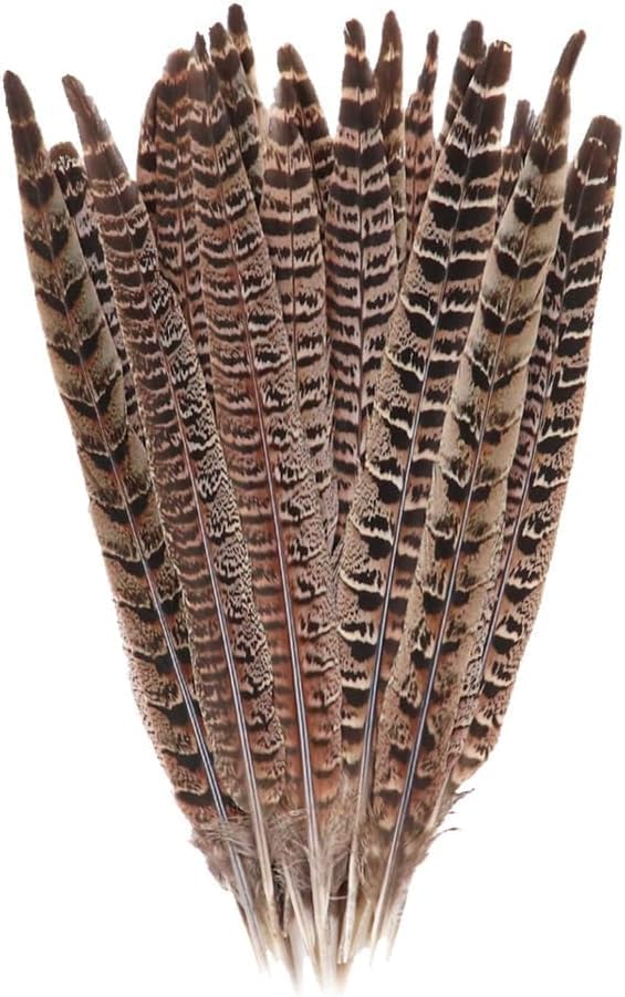 10 Pcs Long Pheasant Tail Feathers Natural Pheasant Feathers Floral Arrangement Feathers Feather Wedding Centerpiece Home Party Craft Decorations Supplies