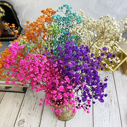 Preserved Baby's Breath Flores Secas Naturales 2 Unidades miniatura 4