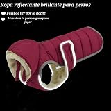 Ver la foto 5